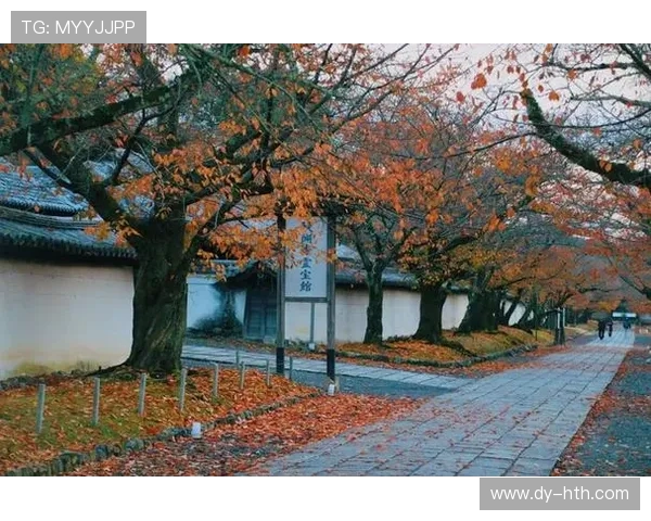 德岛旋涡与京都的魅力对比探索两地文化与自然之美